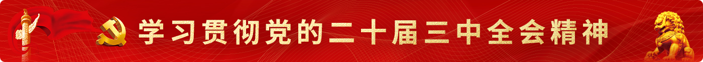 二十屆三中全會精神